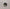 8253-M 70x110