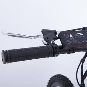 Mountain Bike Elettrica IFM Bianco Nero con Batteria Litio 36V/8Ah