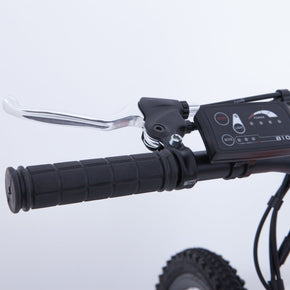 Mountain Bike Elettrica IFM Blu Nero con Batteria Litio 36V/8Ah