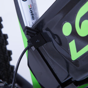 Mountain Bike Elettrica IFM Verde Nero con Batteria Litio 36V/8Ah