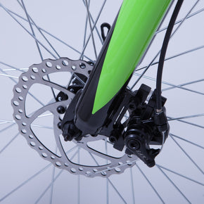 Mountain Bike Elettrica IFM Verde Nero con Batteria Litio 36V/8Ah